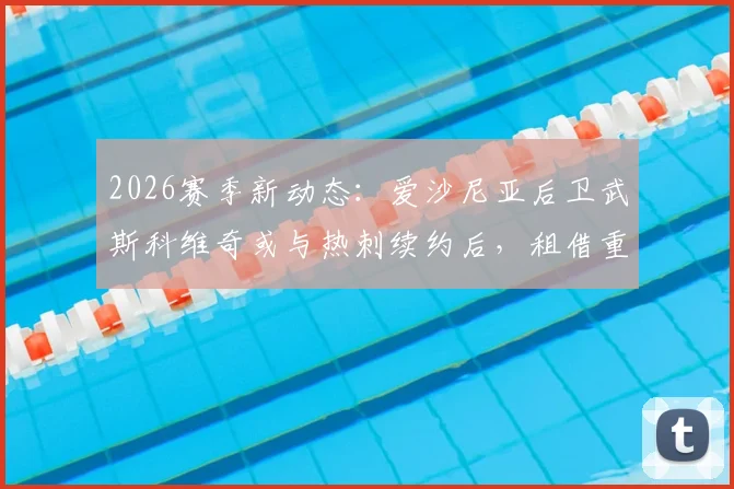 2026赛季新动态:爱沙尼亚后卫武斯科维奇或与热刺续约后,租借重返汉堡队前景分析